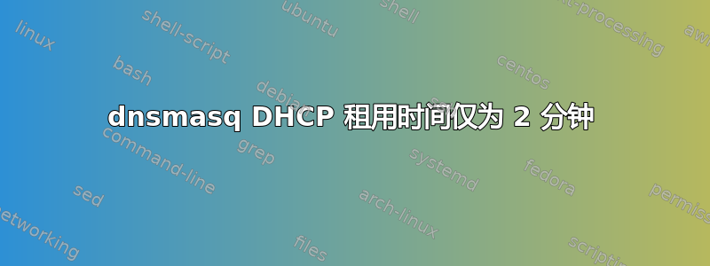 dnsmasq DHCP 租用时间仅为 2 分钟