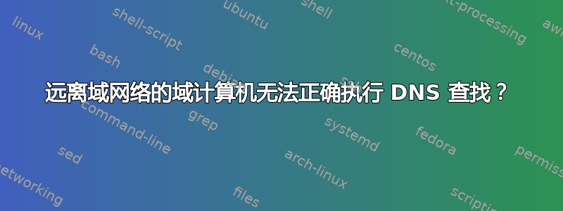 远离域网络的域计算机无法正确执行 DNS 查找？