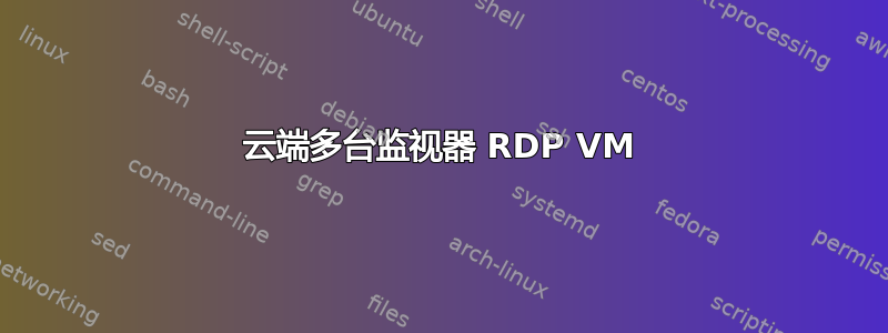 云端多台监视器 RDP VM