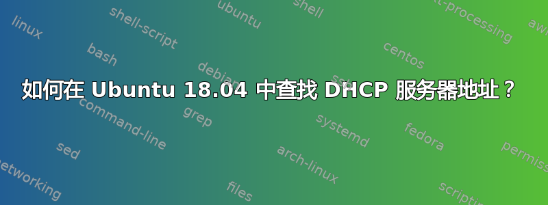 如何在 Ubuntu 18.04 中查找 DHCP 服务器地址？