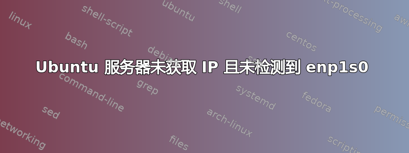 Ubuntu 服务器未获取 IP 且未检测到 enp1s0