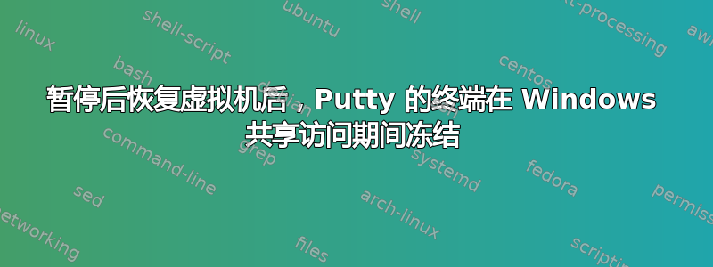 暂停后恢复虚拟机后，Putty 的终端在 Windows 共享访问期间冻结