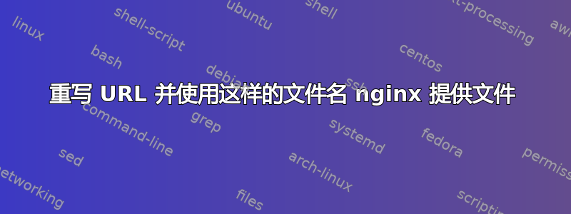 重写 URL 并使用这样的文件名 nginx 提供文件