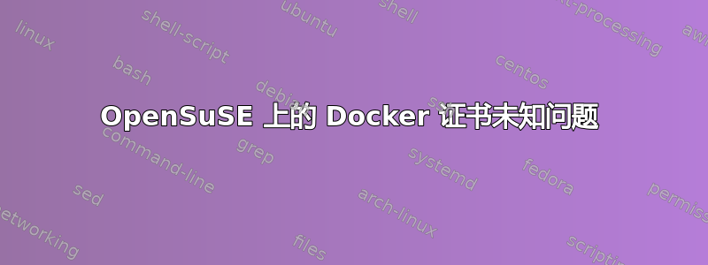 OpenSuSE 上的 Docker 证书未知问题