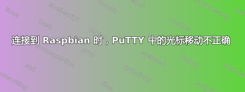 连接到 Raspbian 时，PuTTY 中的光标移动不正确