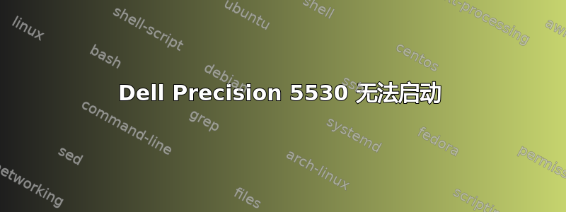 Dell Precision 5530 无法启动