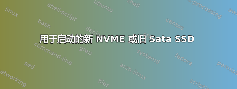 用于启动的新 NVME 或旧 Sata SSD