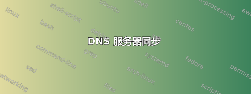 DNS 服务器同步