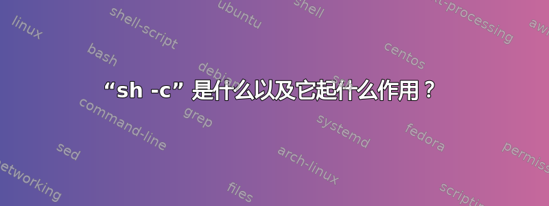 “sh -c” 是什么以及它起什么作用？