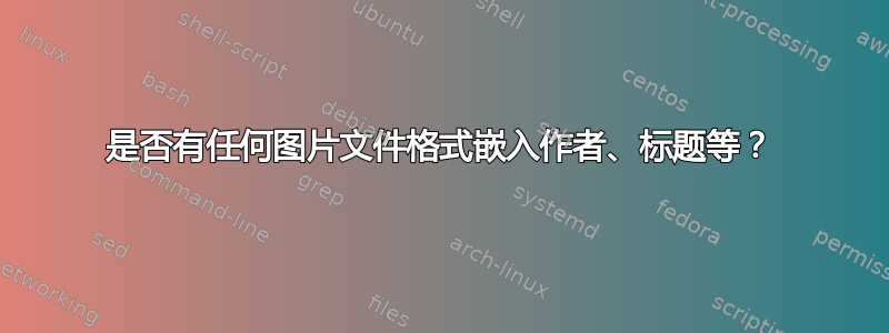 是否有任何图片文件格式嵌入作者、标题等？