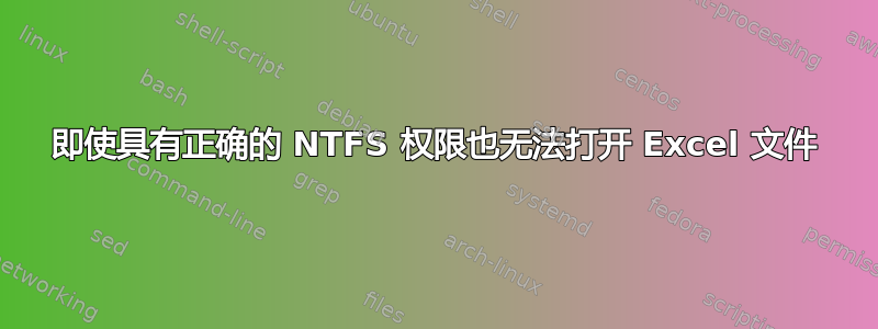 即使具有正确的 NTFS 权限也无法打开 Excel 文件