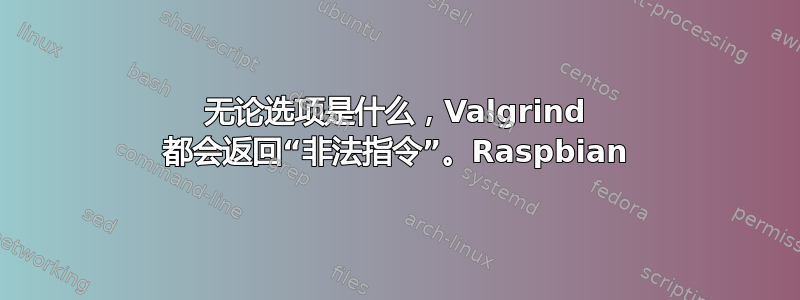 无论选项是什么，Valgrind 都会返回“非法指令”。Raspbian