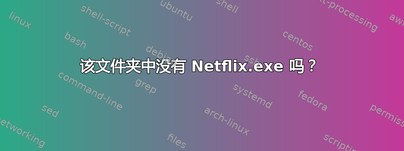 该文件夹中没有 Netflix.exe 吗？