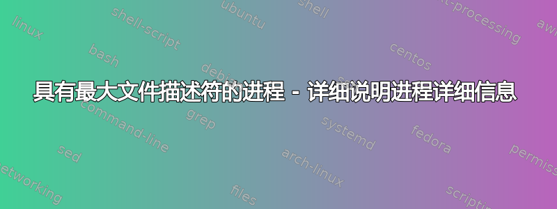 具有最大文件描述符的进程 - 详细说明进程详细信息