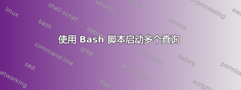 使用 Bash 脚本启动多个查询