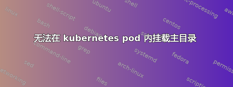 无法在 kubernetes pod 内挂载主目录