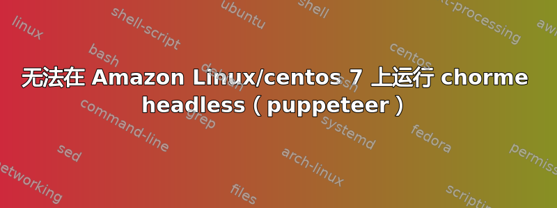 无法在 Amazon Linux/centos 7 上运行 chorme headless（puppeteer）