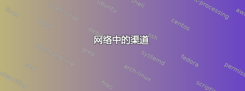 网络中的渠道