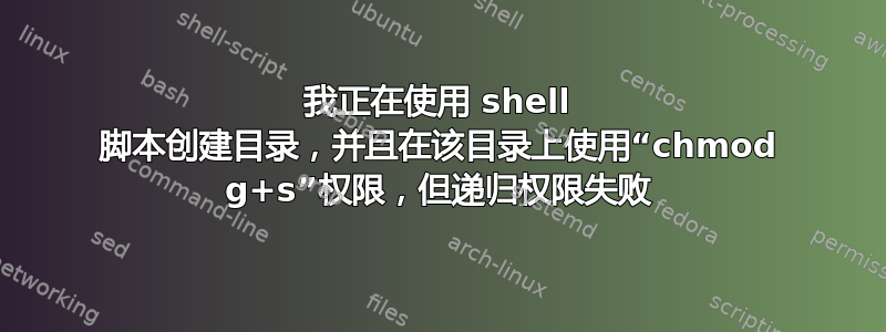 我正在使用 shell 脚本创建目录，并且在该目录上使用“chmod g+s”权限，但递归权限失败