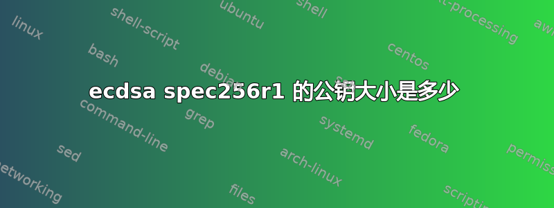 ecdsa spec256r1 的公钥大小是多少