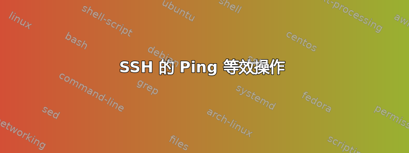 SSH 的 Ping 等效操作