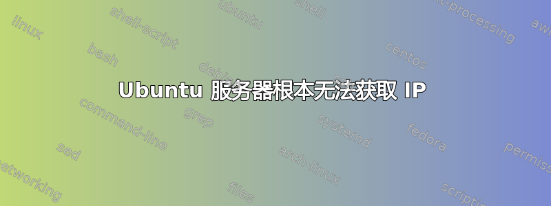 Ubuntu 服务器根本无法获取 IP