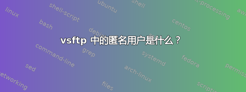 vsftp 中的匿名用户是什么？