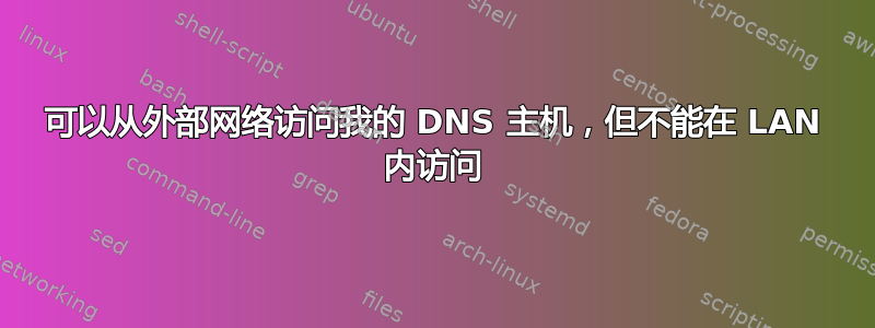 可以从外部网络访问我的 DNS 主机，但不能在 LAN 内访问