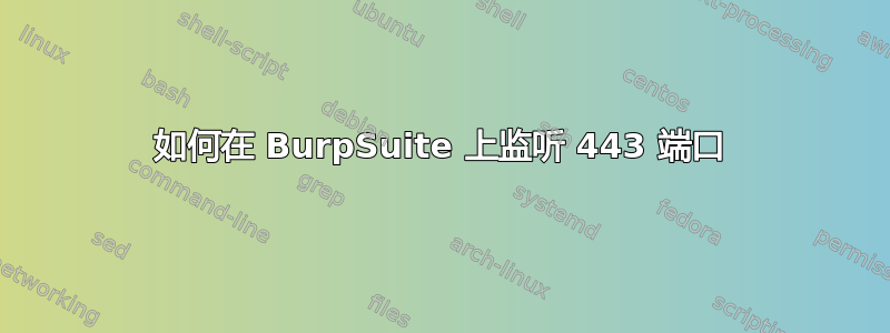 如何在 BurpSuite 上监听 443 端口