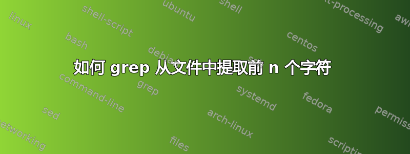 如何 grep 从文件中提取前 n 个字符