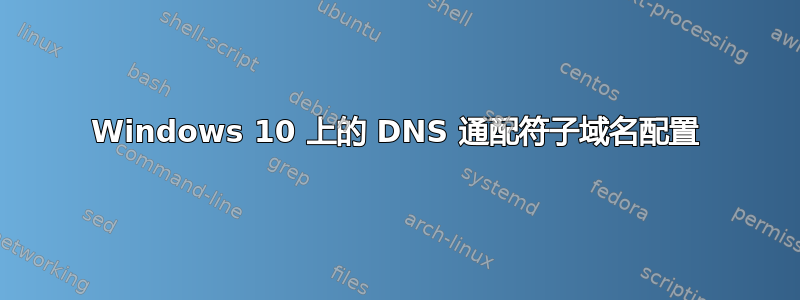 Windows 10 上的 DNS 通配符子域名配置