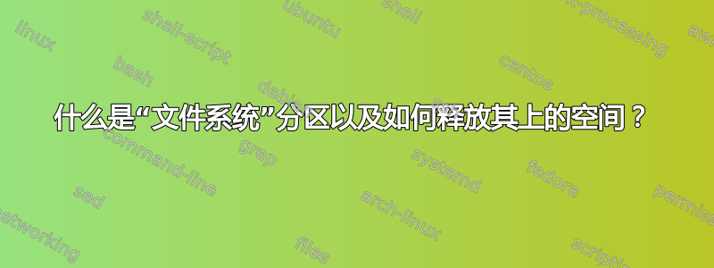 什么是“文件系统”分区以及如何释放其上的空间？