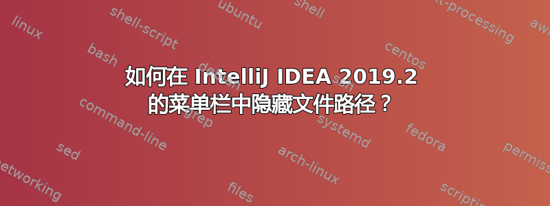 如何在 IntelliJ IDEA 2019.2 的菜单栏中隐藏文件路径？