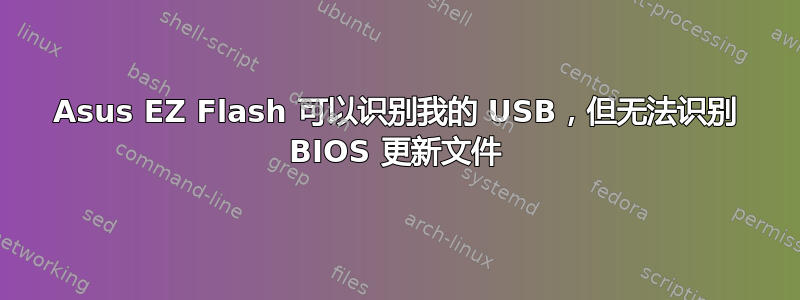 Asus EZ Flash 可以识别我的 USB，但无法识别 BIOS 更新文件