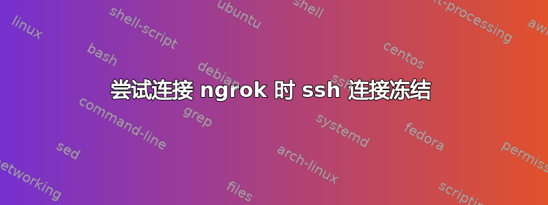 尝试连接 ngrok 时 ssh 连接冻结