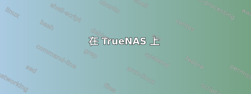 在 TrueNAS 上