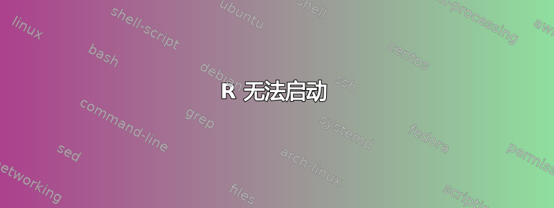 R 无法启动