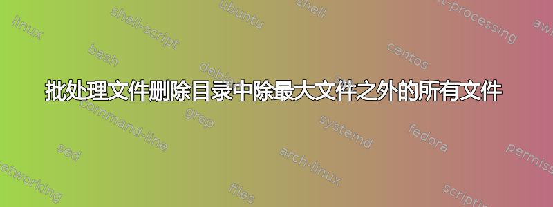 批处理文件删除目录中除最大文件之外的所有文件