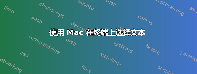 使用 Mac 在终端上选择文本