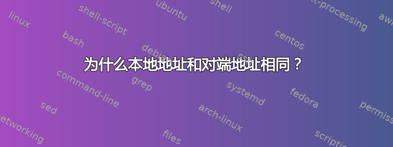 为什么本地地址和对端地址相同？