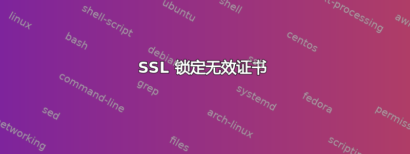 SSL 锁定无效证书