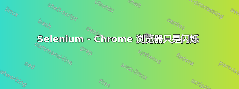 Selenium - Chrome 浏览器只是闪烁