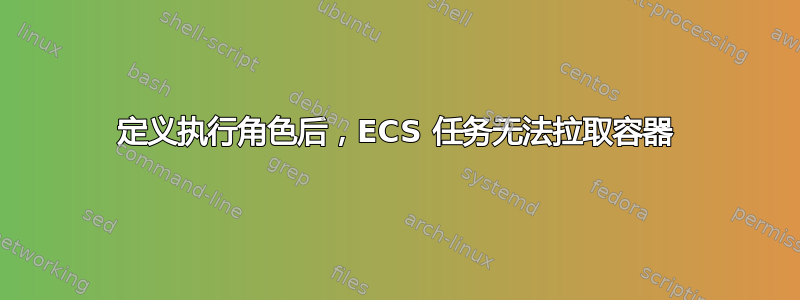 定义执行角色后，ECS 任务无法拉取容器