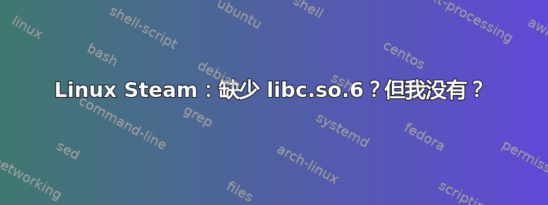 Linux Steam：缺少 libc.so.6？但我没有？