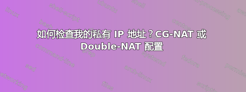 如何检查我的私有 IP 地址？CG-NAT 或 Double-NAT 配置