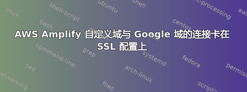 AWS Amplify 自定义域与 Google 域的连接卡在 SSL 配置上