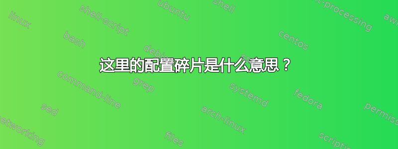 这里的配置碎片是什么意思？