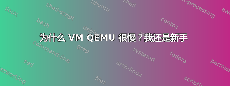 为什么 VM QEMU 很慢？我还是新手