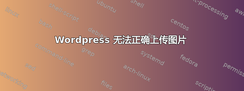 Wordpress 无法正确上传图片