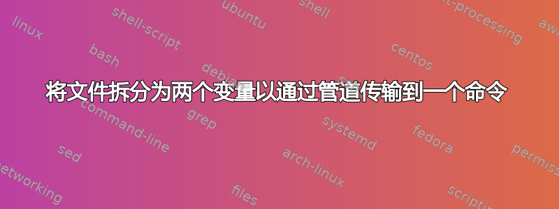 将文件拆分为两个变量以通过管道传输到一个命令